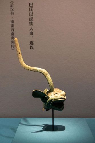 微信图片_20240511081124.jpg