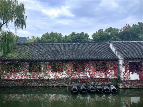 序号6_马青_上传图片_mmexport1732090795543.jpg
