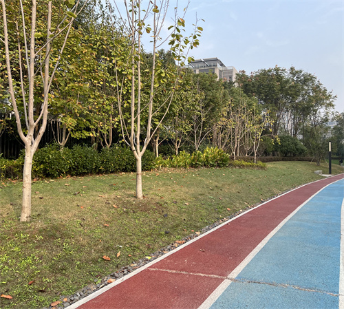 序号42_朱勘宇_上传图片_IMG_3955.jpg